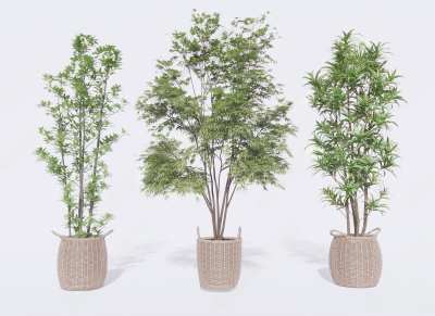 植物盆栽3D模型下载